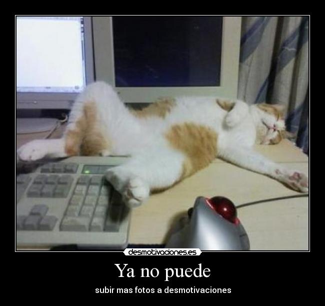 Ya no puede - subir mas fotos a desmotivaciones