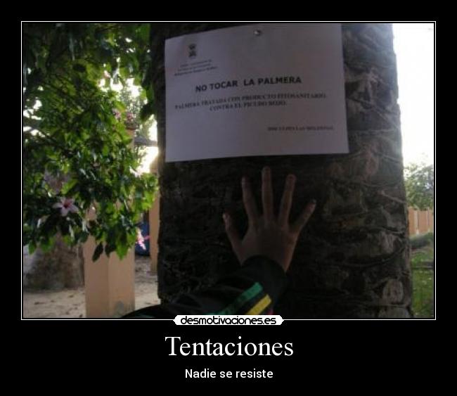 carteles juandomo desmotivaciones