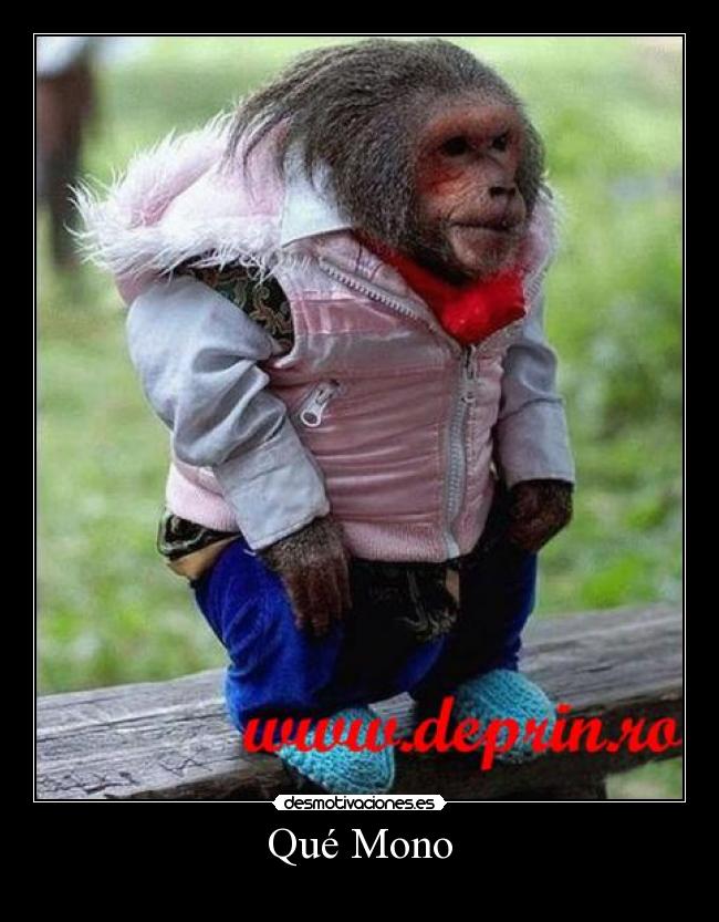 Qué Mono -