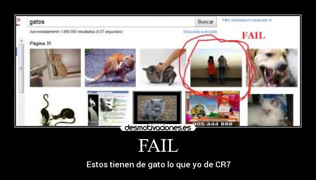 FAIL - Estos tienen de gato lo que yo de CR7
