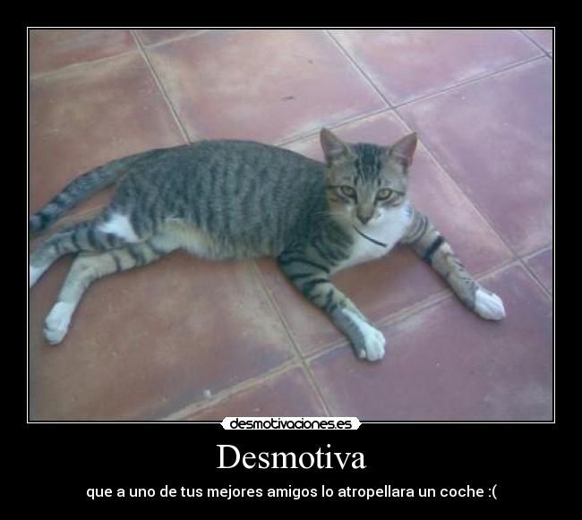 Desmotiva - 