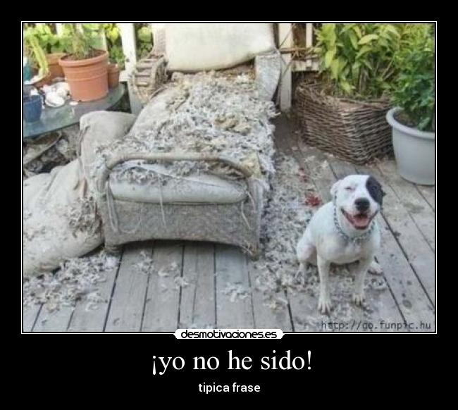 ¡yo no he sido! - 