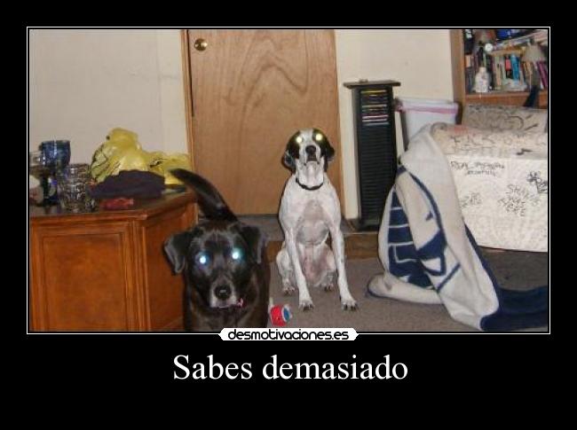 Sabes demasiado -