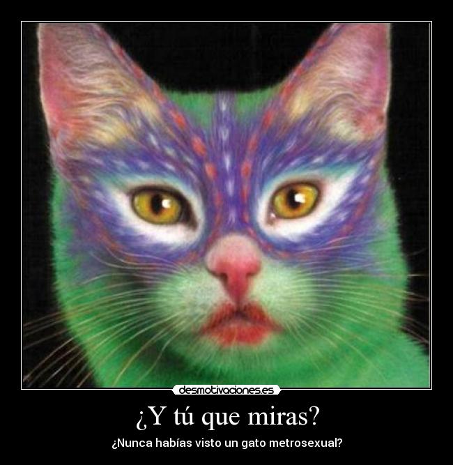 ¿Y tú que miras? - 