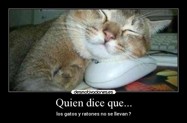 carteles walk_t desmotivaciones