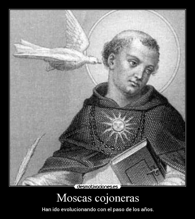 Moscas cojoneras - Han ido evolucionando con el paso de los años.