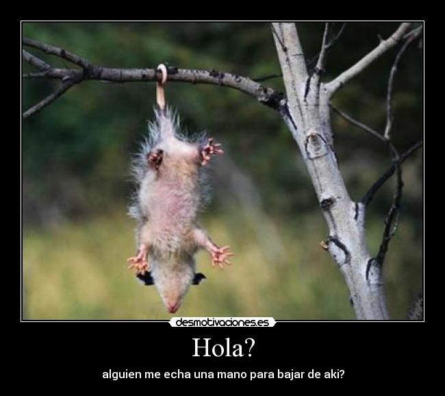 Hola? - alguien me echa una mano para bajar de aki?