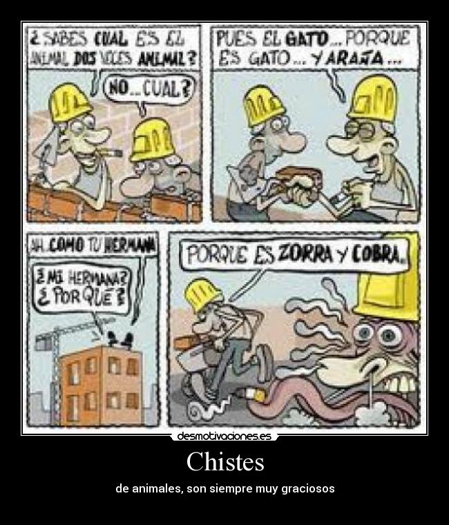 Chistes - de animales, son siempre muy graciosos
