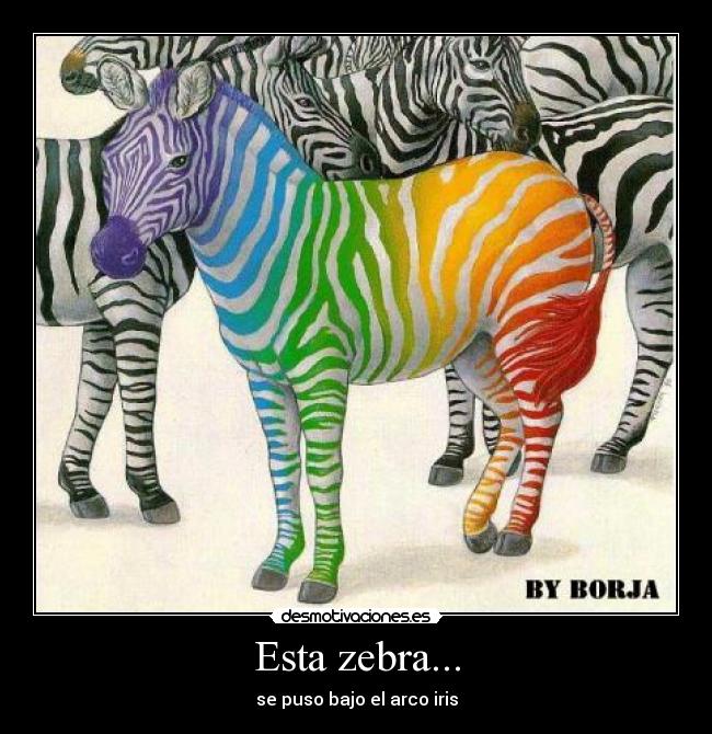 Esta zebra... - se puso bajo el arco iris