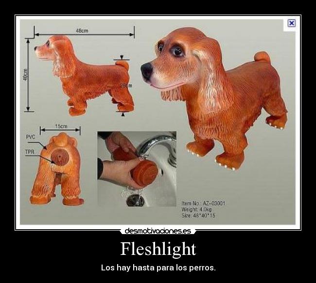 Fleshlight - Los hay hasta para los perros.