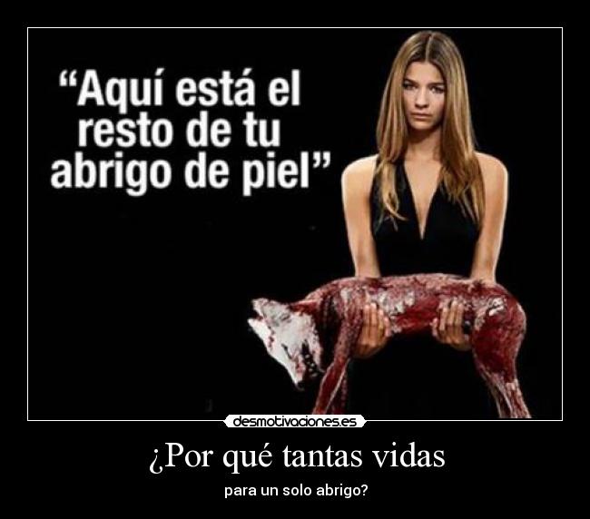 ¿Por qué tantas vidas - 