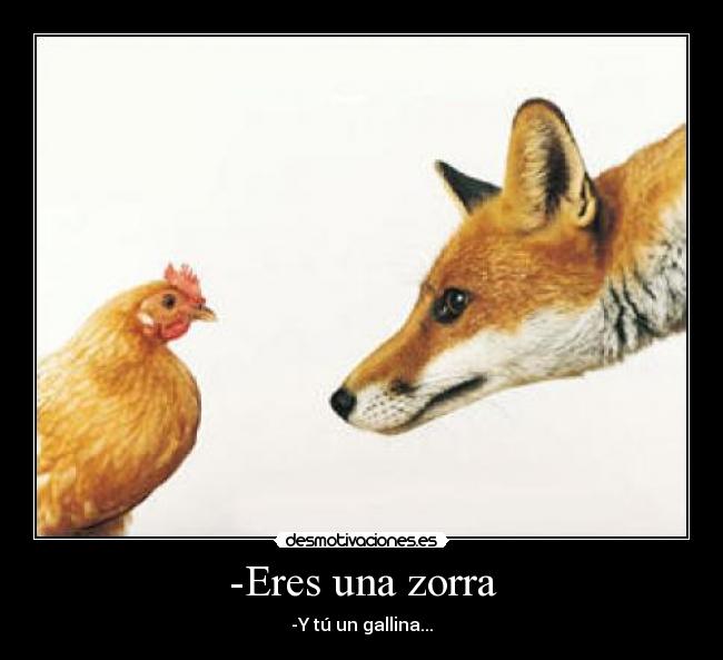 -Eres una zorra - 