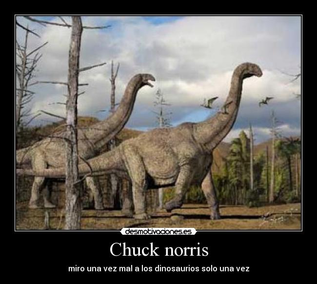 Chuck norris - miro una vez mal a los dinosaurios solo una vez