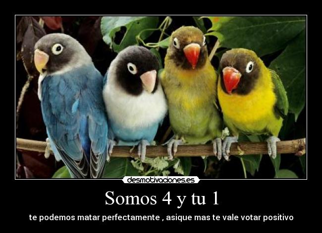 Somos 4 y tu 1 -
