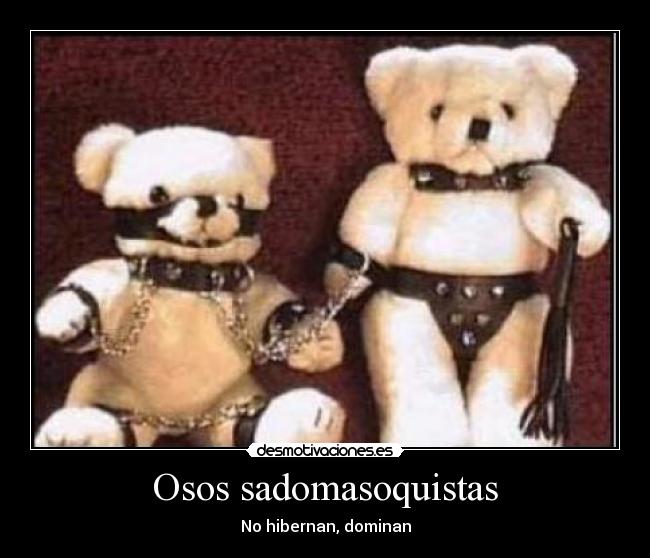 Osos sadomasoquistas - 