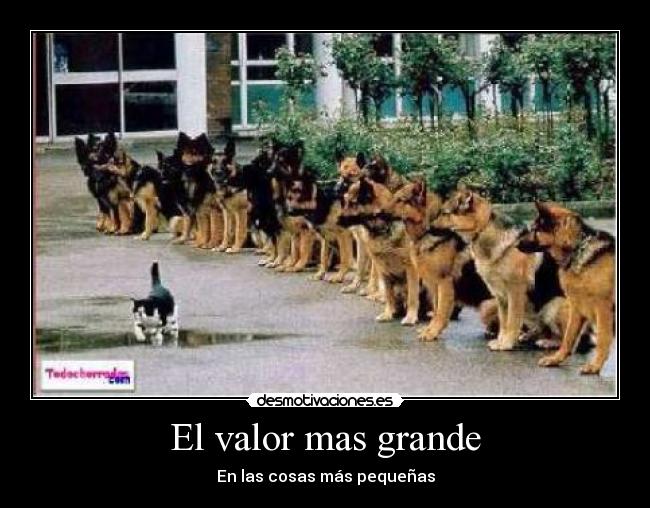 El valor mas grande - 