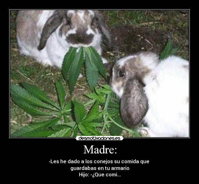 carteles madre fuuuuuuuuuuuuuuuuuuuuu desmotivaciones