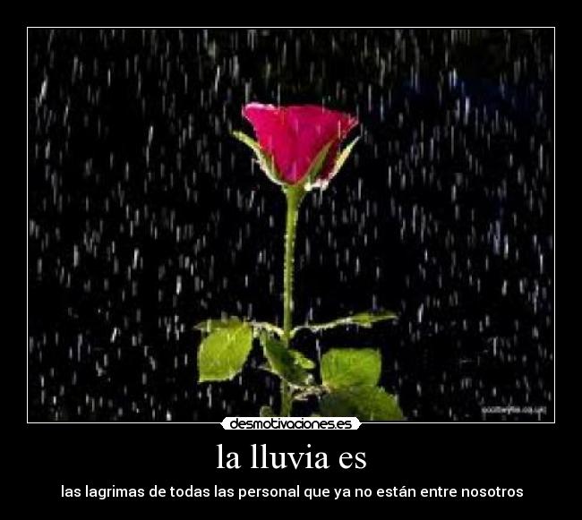 carteles albertyo15 soon18 simbad walt-k desmotivaciones