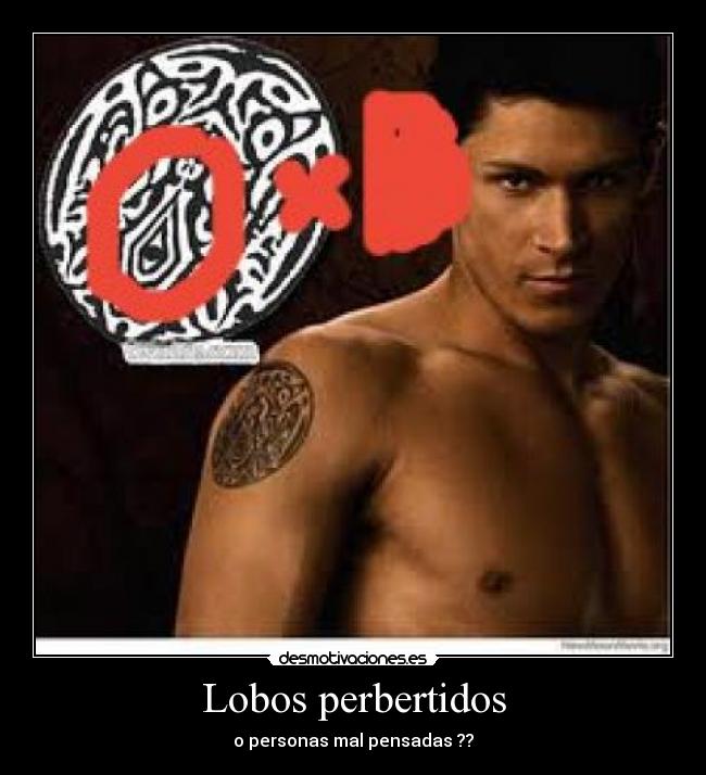 Lobos perbertidos - o personas mal pensadas ??