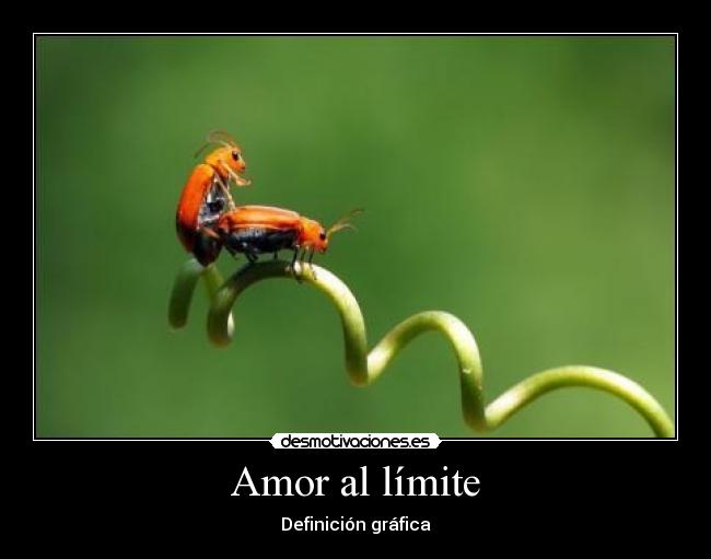Amor al límite - Definición gráfica