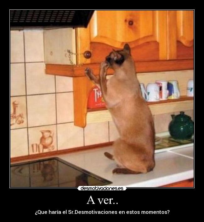 A ver.. - ¿Que haría el Sr.Desmotivaciones en estos momentos?