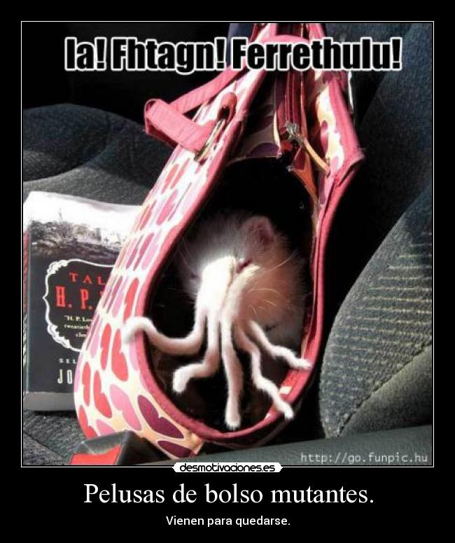 Pelusas de bolso mutantes. -