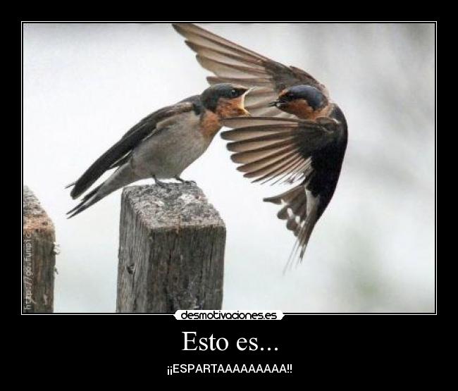 Esto es... - ¡¡ESPARTAAAAAAAAA!!