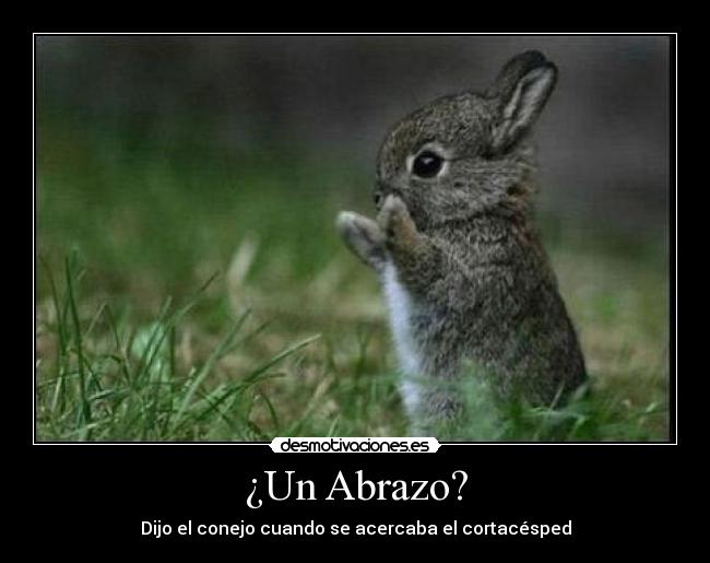 ¿Un Abrazo? - Dijo el conejo cuando se acercaba el cortacésped