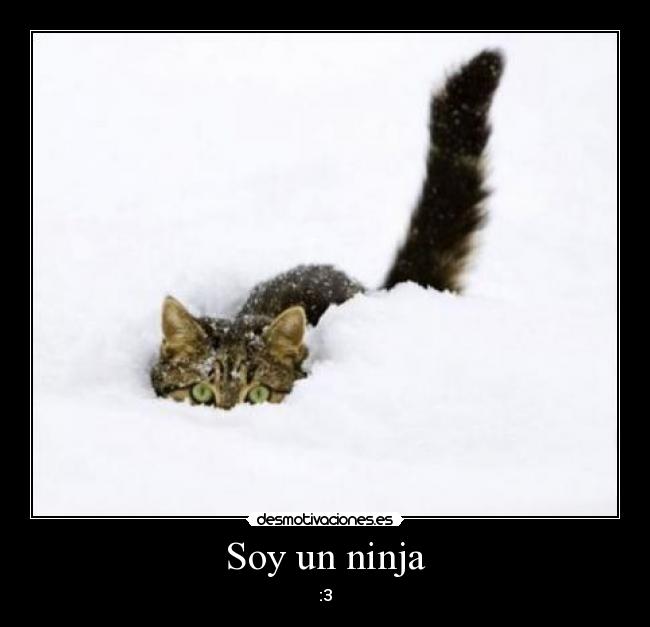 Soy un ninja - :3