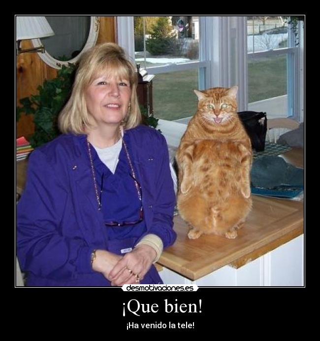 ¡Que bien! - ¡Ha venido la tele!