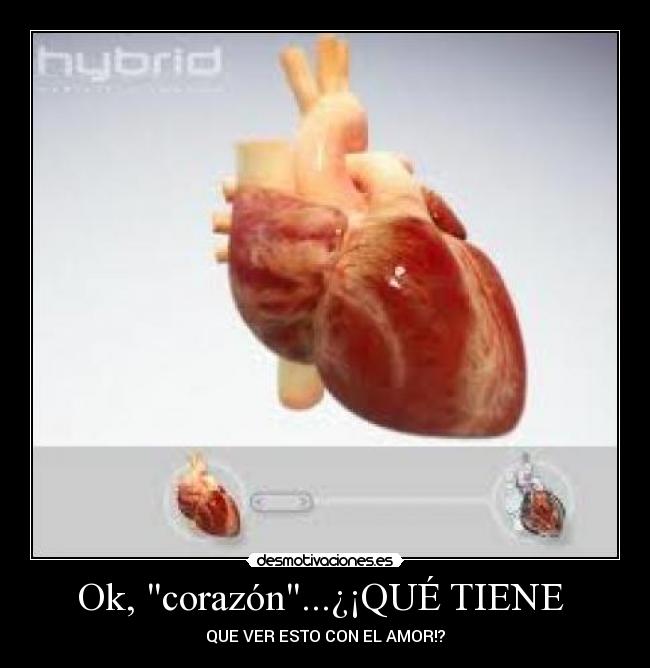 Ok, corazón...¿¡QUÉ TIENE - QUE VER ESTO CON EL AMOR!?