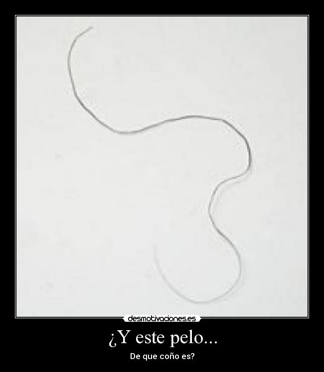 ¿Y este pelo... - 