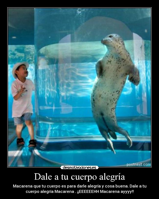 carteles alegria dale cuerpo alegria macarena desmotivaciones