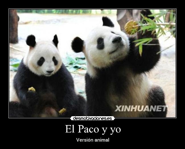 El Paco y yo - Versión animal