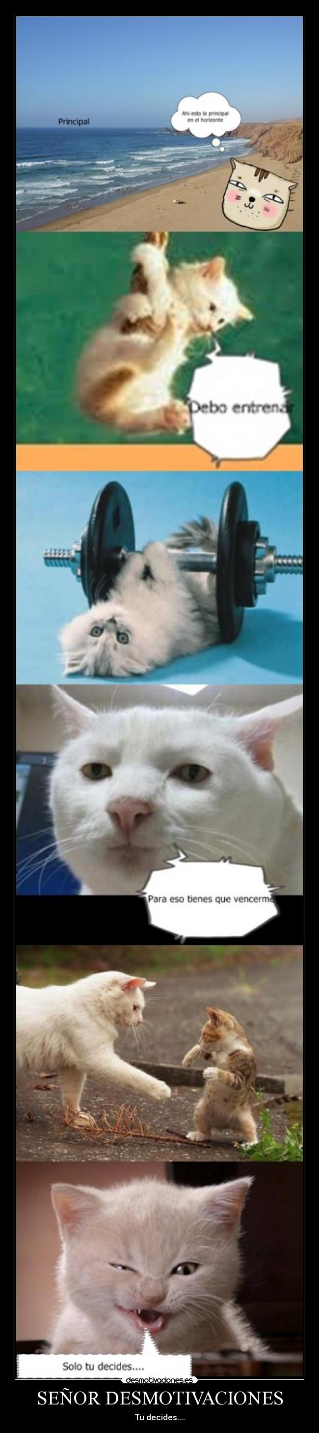 SEÑOR DESMOTIVACIONES - 