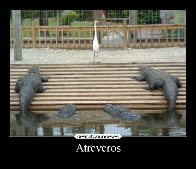 Atreveros -