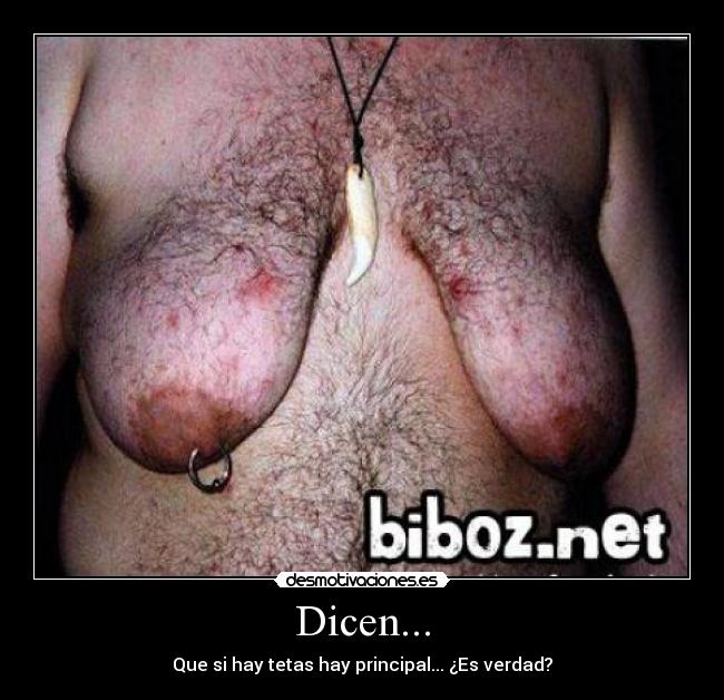 Dicen... - Que si hay tetas hay principal... ¿Es verdad?