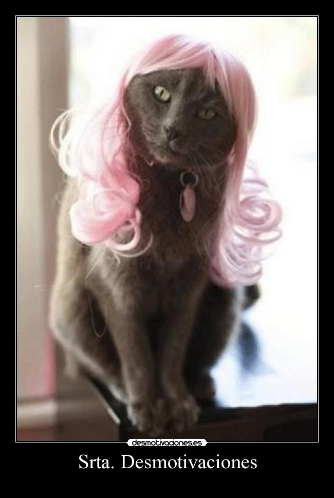 Srta. Desmotivaciones -