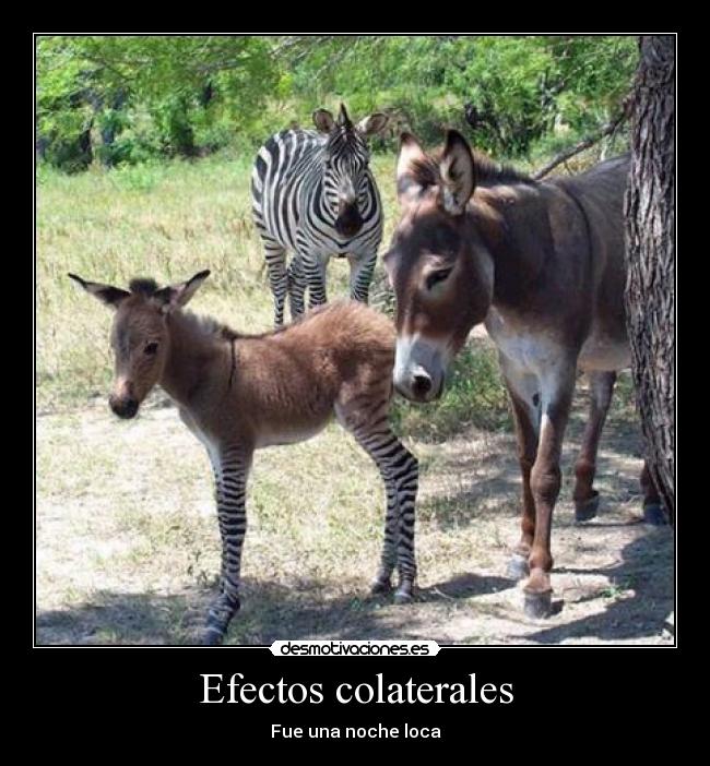 Efectos colaterales - Fue una noche loca