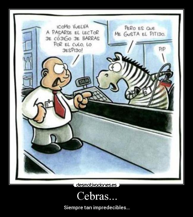 Cebras... - Siempre tan impredecibles...