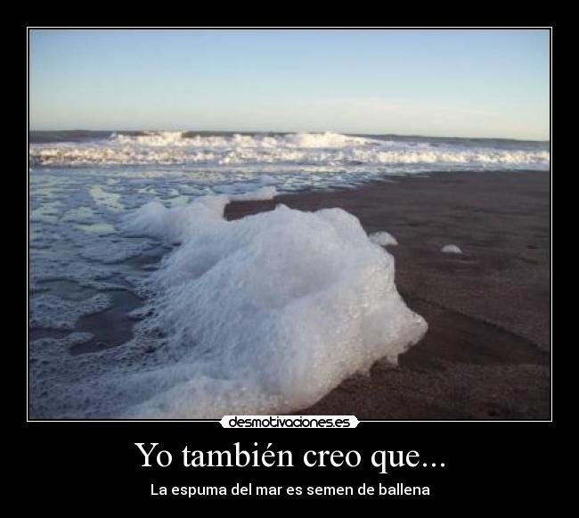 Yo también creo que... -