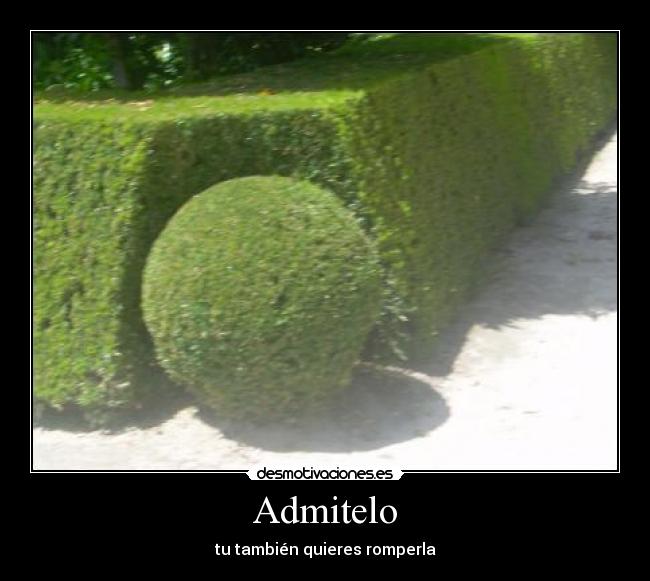 Admitelo - 