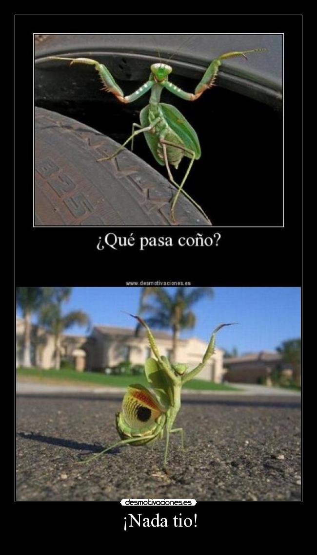 ¡Nada tio! -