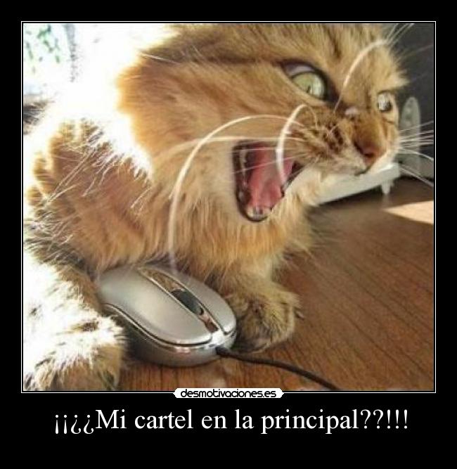 ¡¡¿¿Mi cartel en la principal??!!! -