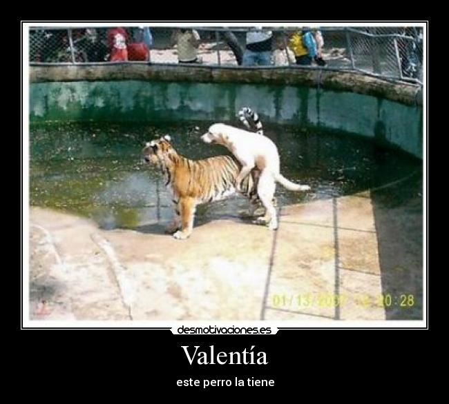 Valentía -