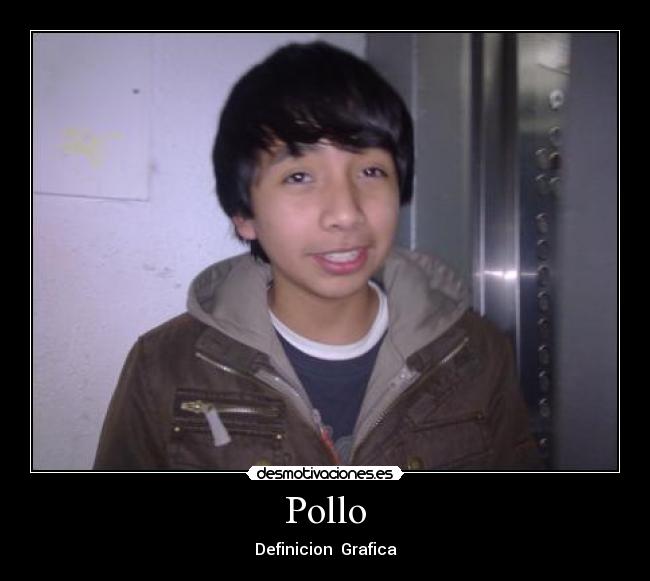 Pollo -