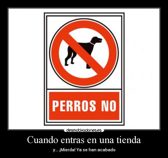 Cuando entras en una tienda -