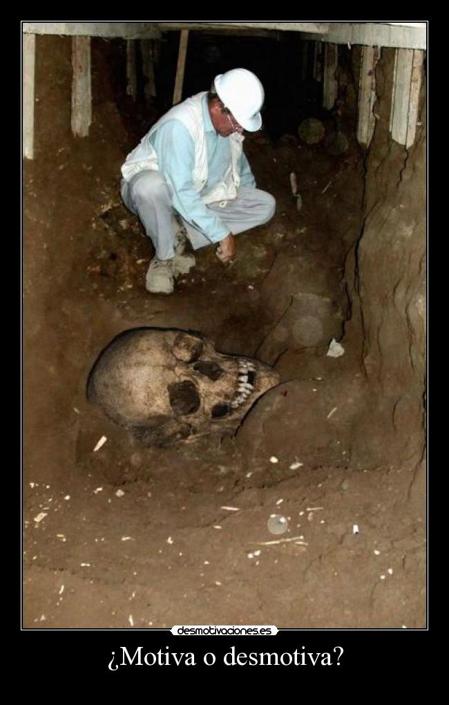 carteles  desmotivaciones