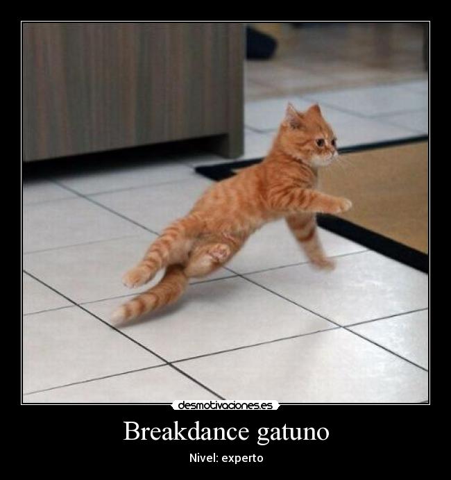 Breakdance gatuno - Nivel: experto
