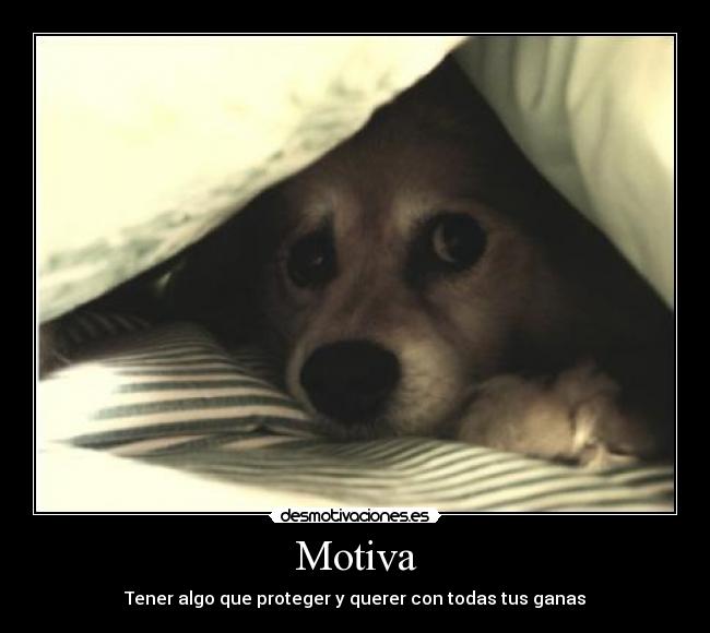 Motiva - Tener algo que proteger y querer con todas tus ganas